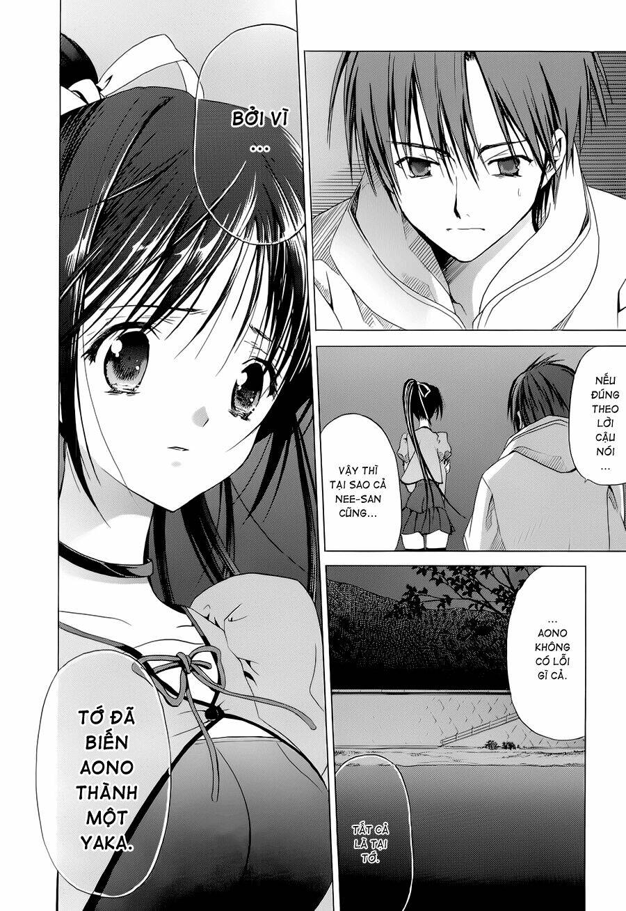 sola chapter 11 23