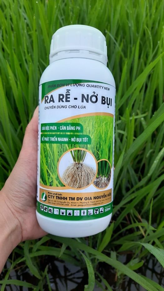 PHÂN BÓN RA RỄ NỞ BỤI - 1 LÍT (Giúp lúa ra rễ nở bụi tốt, cứng cây)