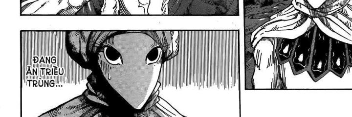 thánh tỏi sành ăn chapter 307 11