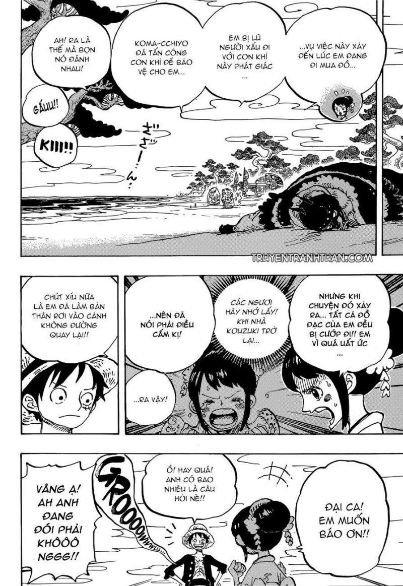 đảo hải tặc - one piece chapter 911 11