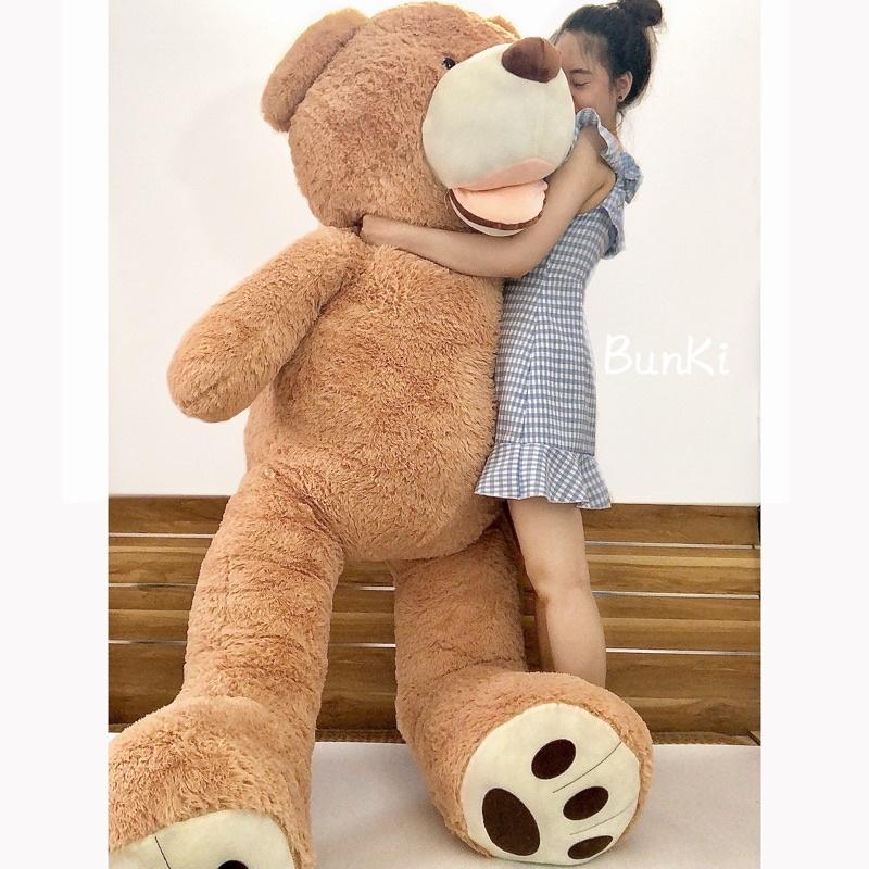 GẤU BÔNG TEDDY NÂU BỰ, GẤU BÔNG NHẬP TO KHỔNG LỒ 200CM