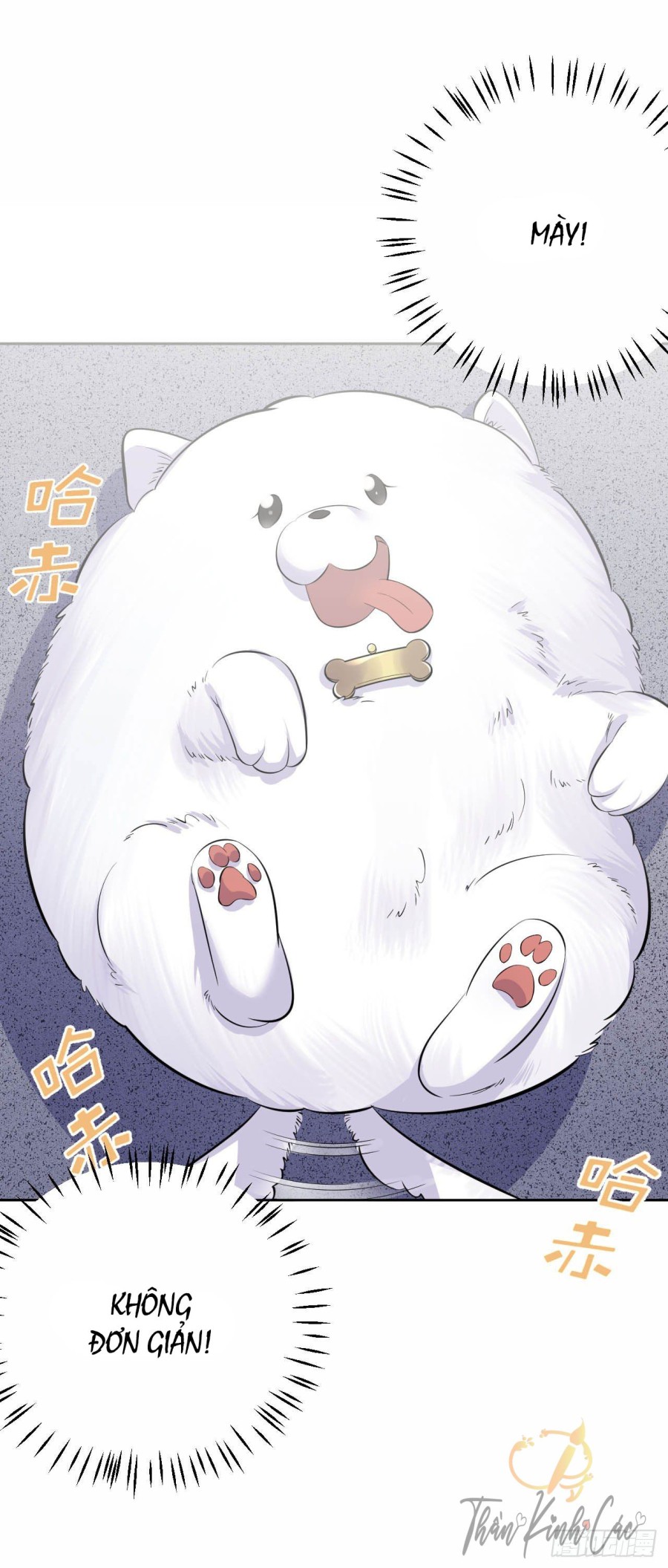 nhạc phụ đại nhân là bà xã chapter 27 18