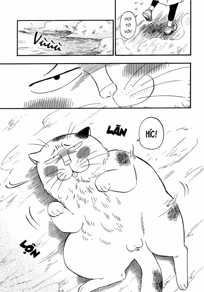 tui là busamen! chapter 8 11