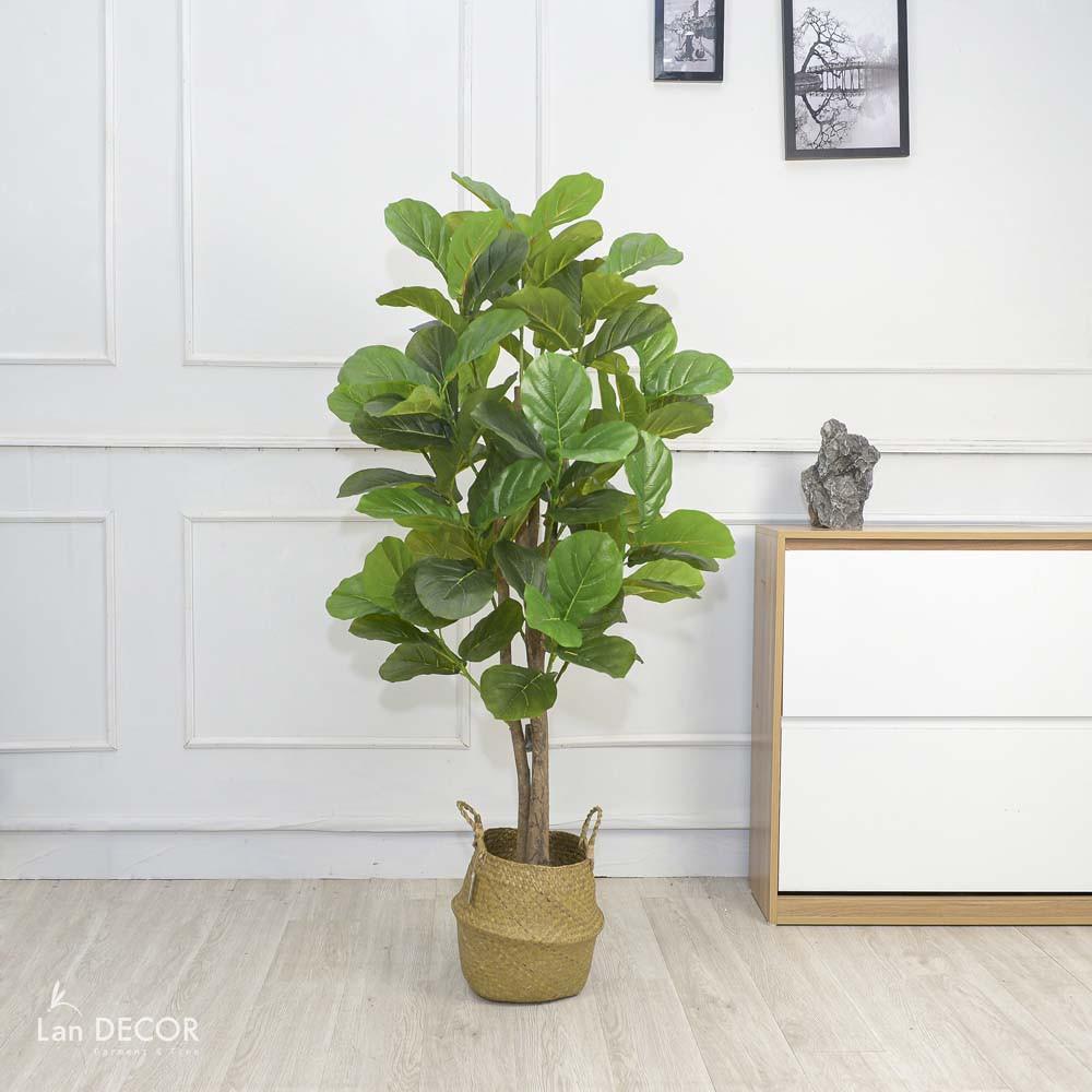 Cây giả - CÂY BÀNG SINGAPORE LANDECOR (135CM) - LC5612