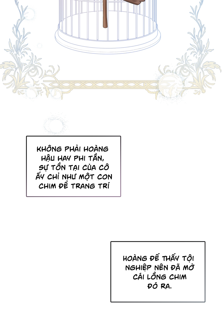 mặt nạ của hoàng đế chapter 1 73