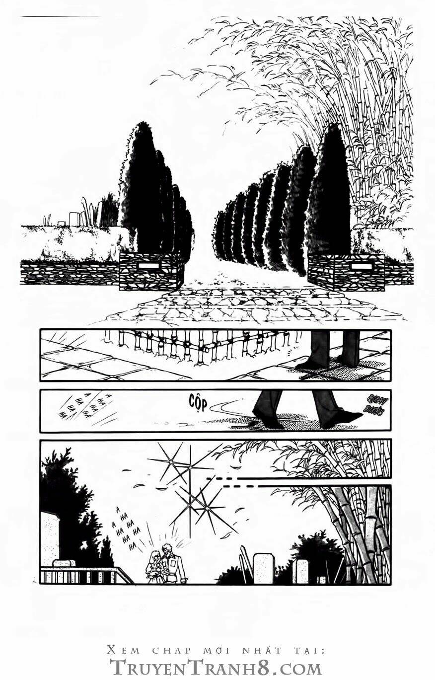 swan - vũ khúc thiên nga chapter 75 19