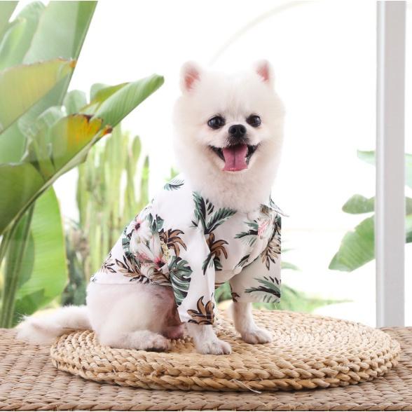 Áo đi biển cho chó mèo có size lớn thoáng mát mẫu đẹp - Phù hợp đi biển và dạo phố