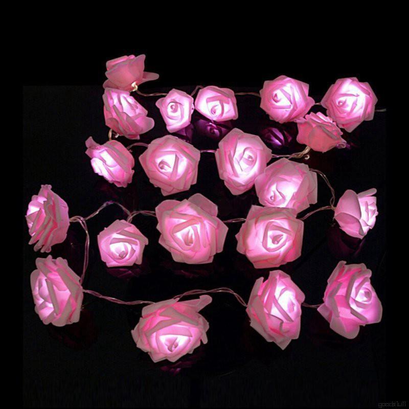 Dây đèn 20 LED hình hoa hồng