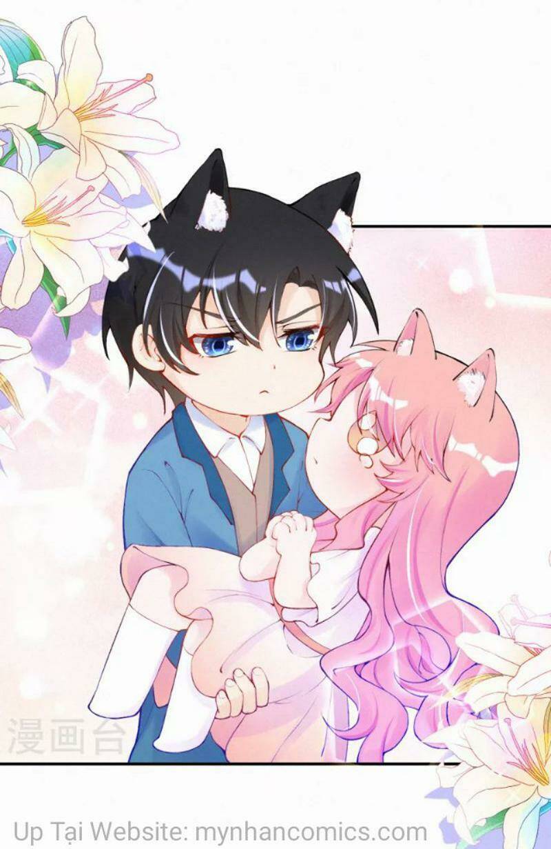 mami đột kích, thiên tài manh bảo khốc daddy chapter 102.1 17