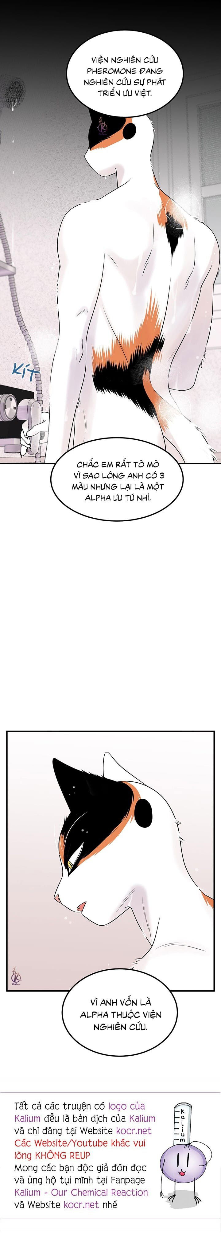 dự án xanh chapter 37 17