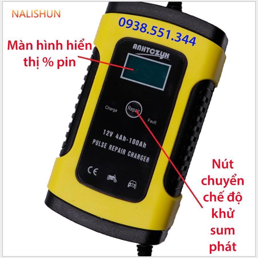 SẠC BÌNH ĐA NĂNG CÓ KHỬ SUMPHAT 12V-100AH