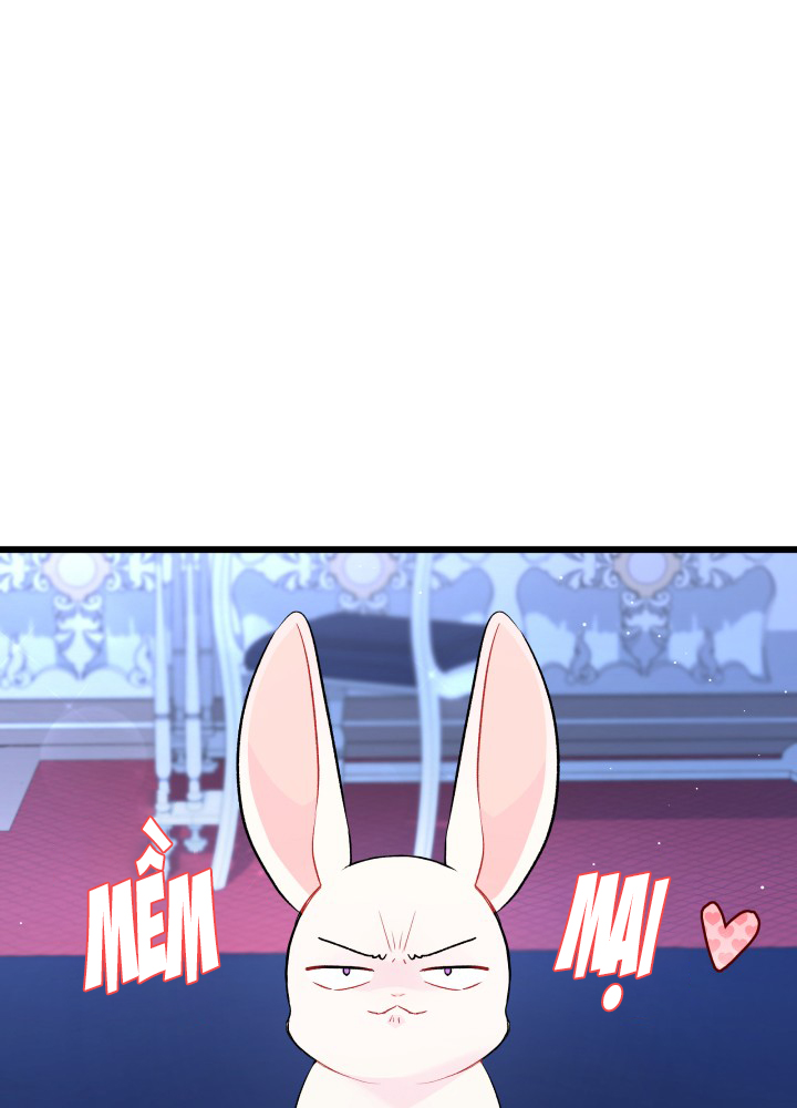 mối liên kết giữa báo đen và bé thỏ chapter 46 56