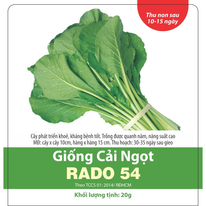 Hạt giống cải ngọt RADO 54 (20g/gói) -