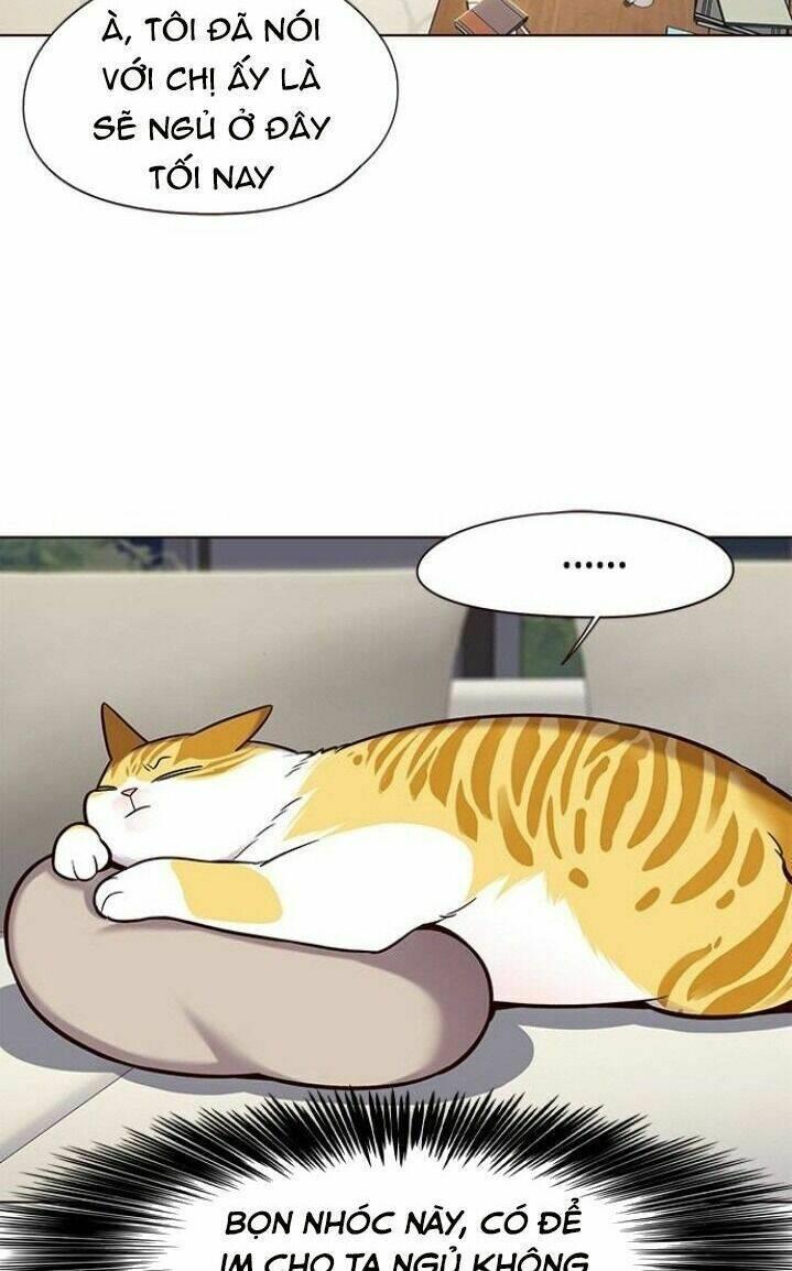 biến thân thành mèo chapter 102 45