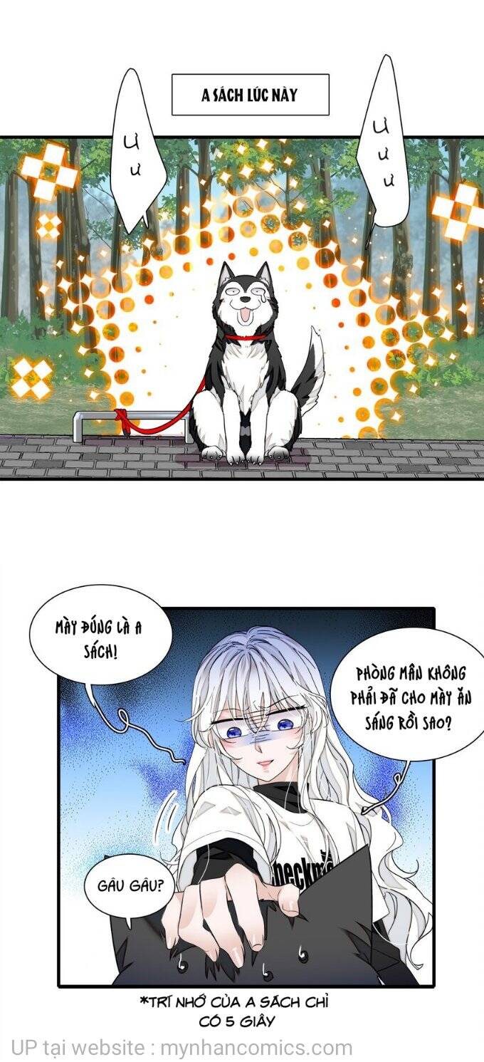 long phượng phiên chuyển chapter 66 4