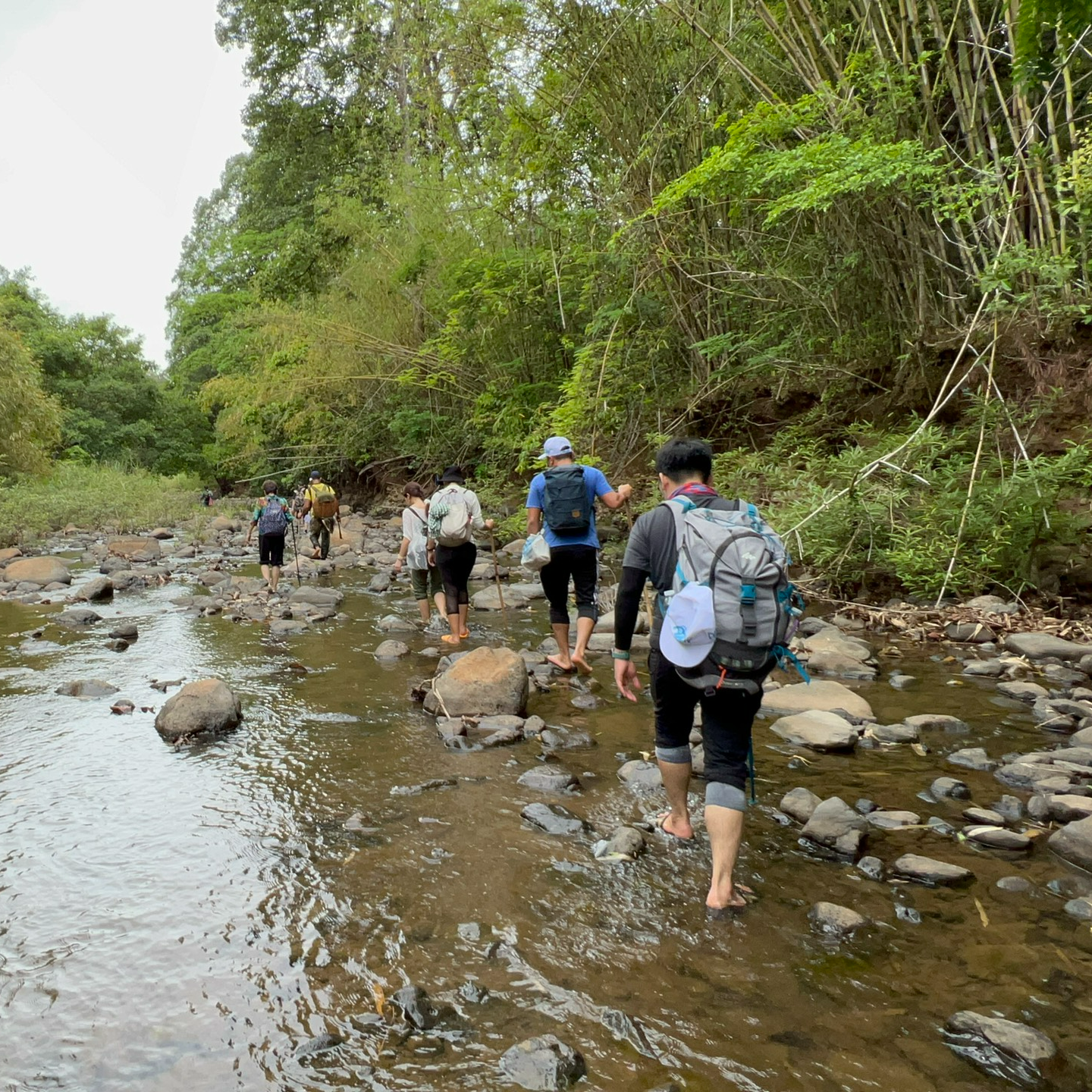 Tour 2N1D- Vườn Quốc Gia Bù Gia Mập. Khám Phá Thiên Nhiên - Trải Nghiệm Cuộc Sống Hoang Dã.  Khởi Hành Thứ 7 Hàng Tuần.