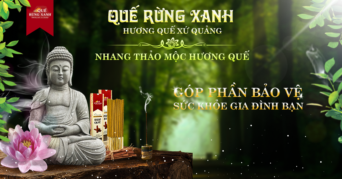 Combo 3 hộp nhang Quế Rừng Xanh - Quế nguyên chất, hương quế rừng tự nhiên, thanh lọc không khí, không gây độc hại đến sức khỏe, giúp tin thần thoải mái - 100% nguyên chất - Hàng chính hãng 