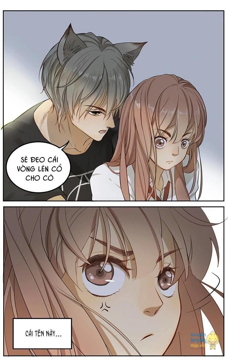 cứu mạng ! loài mèo thống trị thế giới rồi ! chapter 5 5