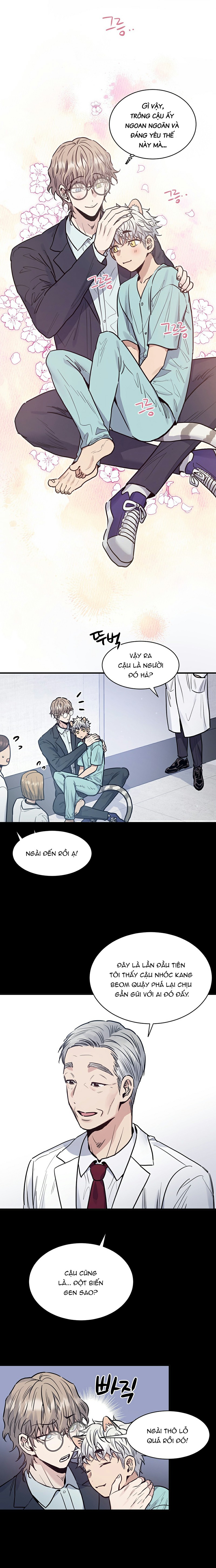 anh à! em đã lớn rồi! chapter 1 11