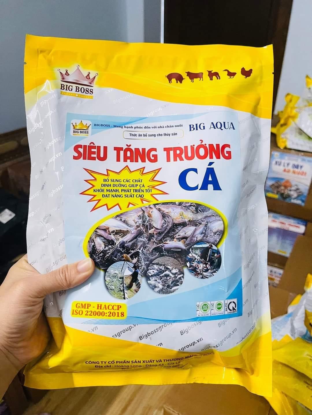 SIÊU TĂNG TRƯỞNG CÁ 1Kg