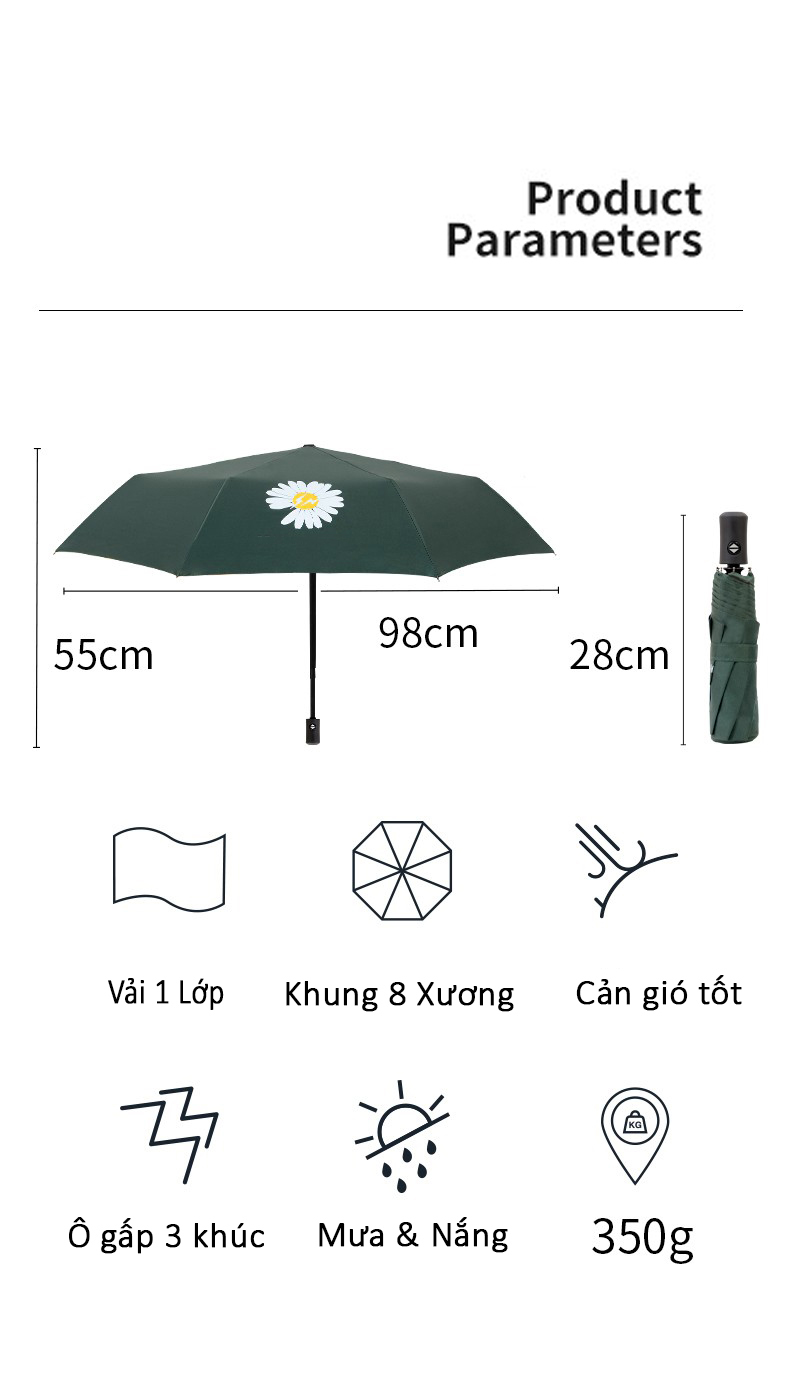 Ô Dù Tự Động In Hình Hoa Cúc - Chống Tia UV Cao Cấp