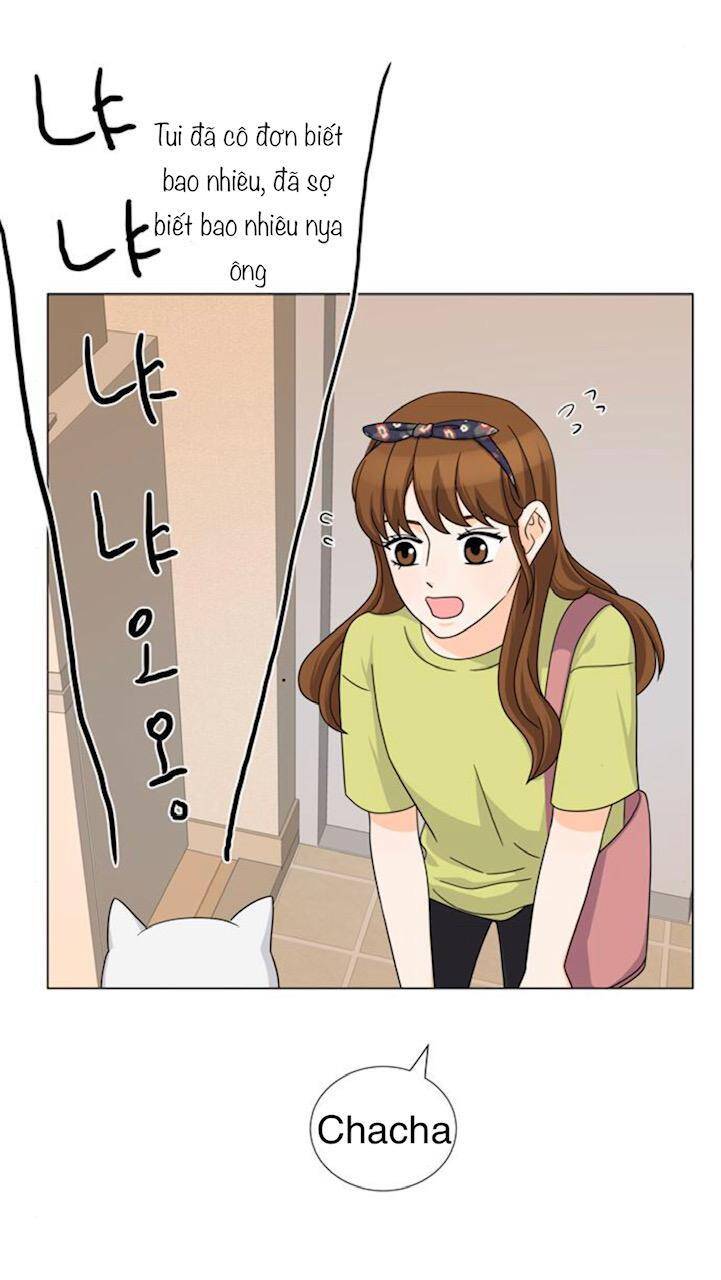 idol và sếp, em yêu ai? chapter 68 6