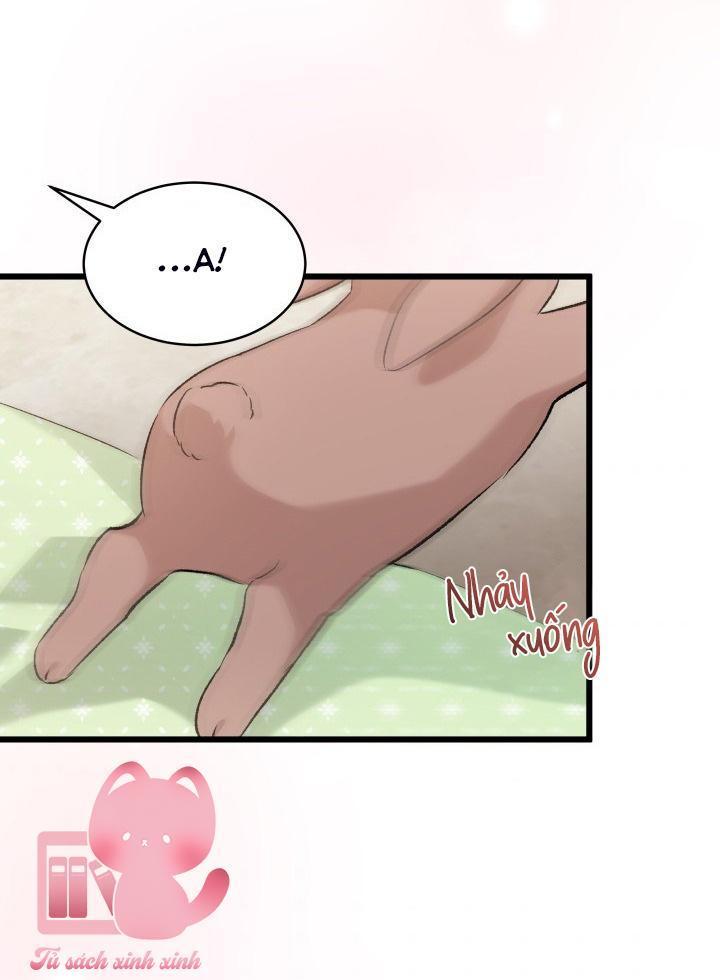 quan hệ cộng sinh giữa báo đen và thỏ trắng chapter 76 21