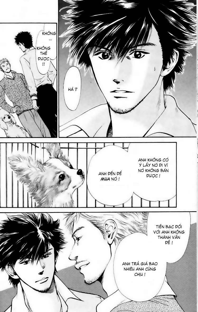 cô nàng yêu chó chapter 16 10