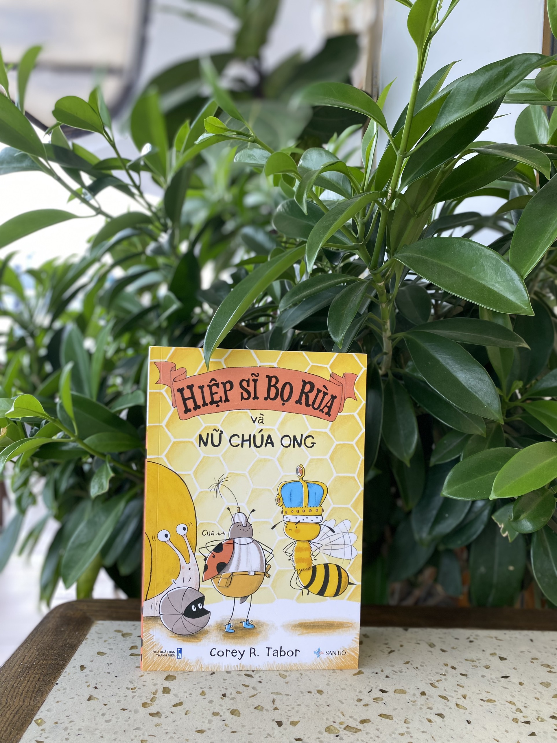 Sách cho bé 6-10 tuổi – Bộ Hiệp Sĩ Bọ Rùa (bộ 3 cuốn) | Tặng thiệp Podcard và Đèn lồng thủ công sáng tạo