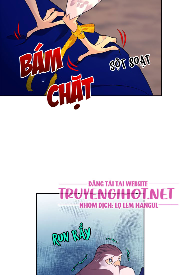 công chúa của loài chim chapter 36.2 15