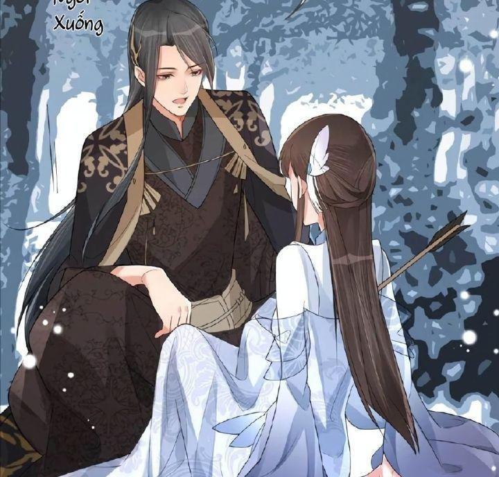 lấy thiên hạ làm sính lễ: vương phi lại trêu ta chapter 1 32