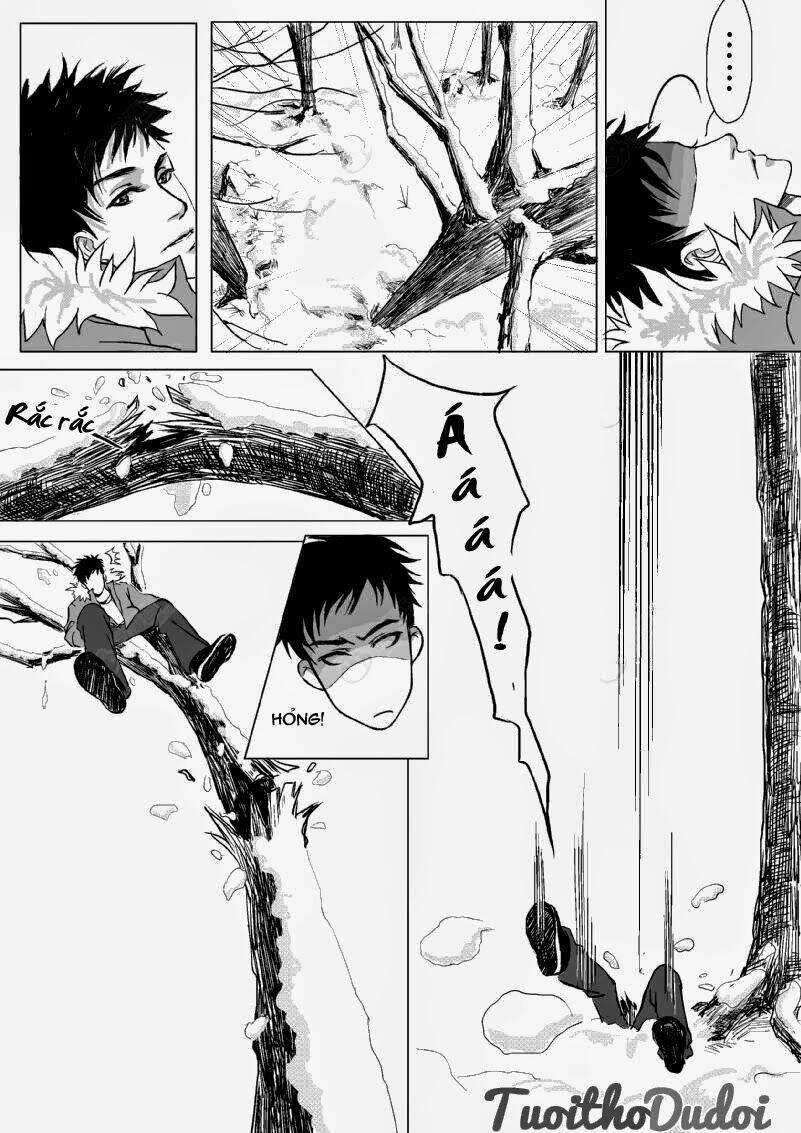 sự mê hoặc của sói chapter 1 11