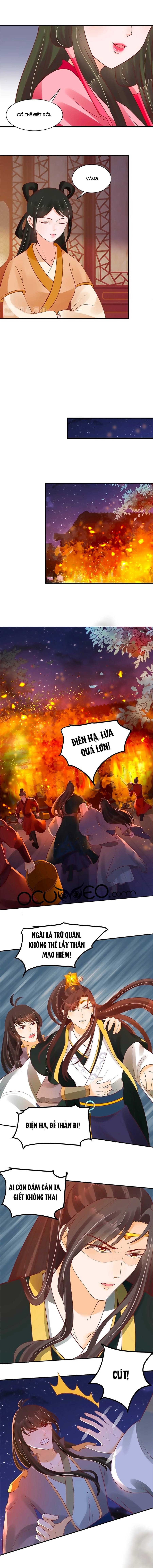 thịnh thế lê hoa điện chapter 62 4