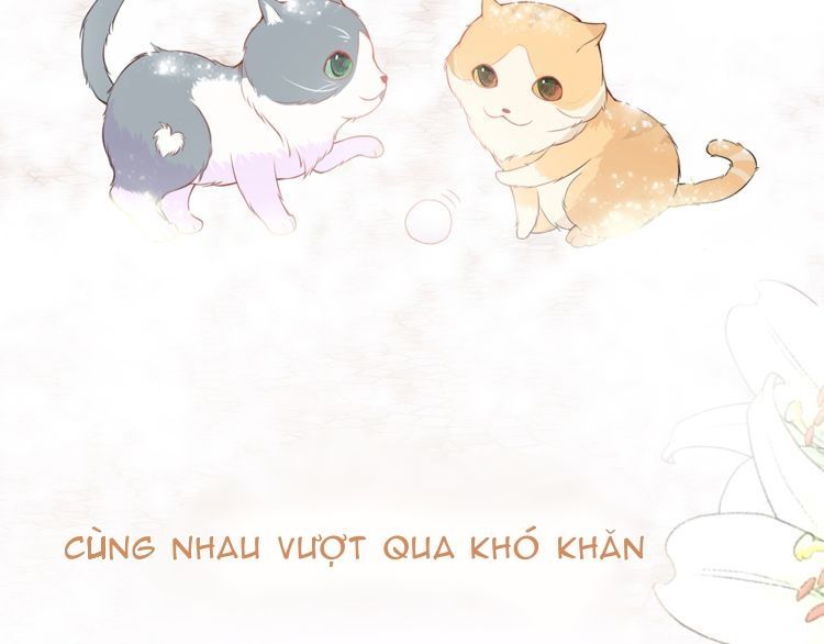 bên anh mới là cả thế giới chapter 0 37