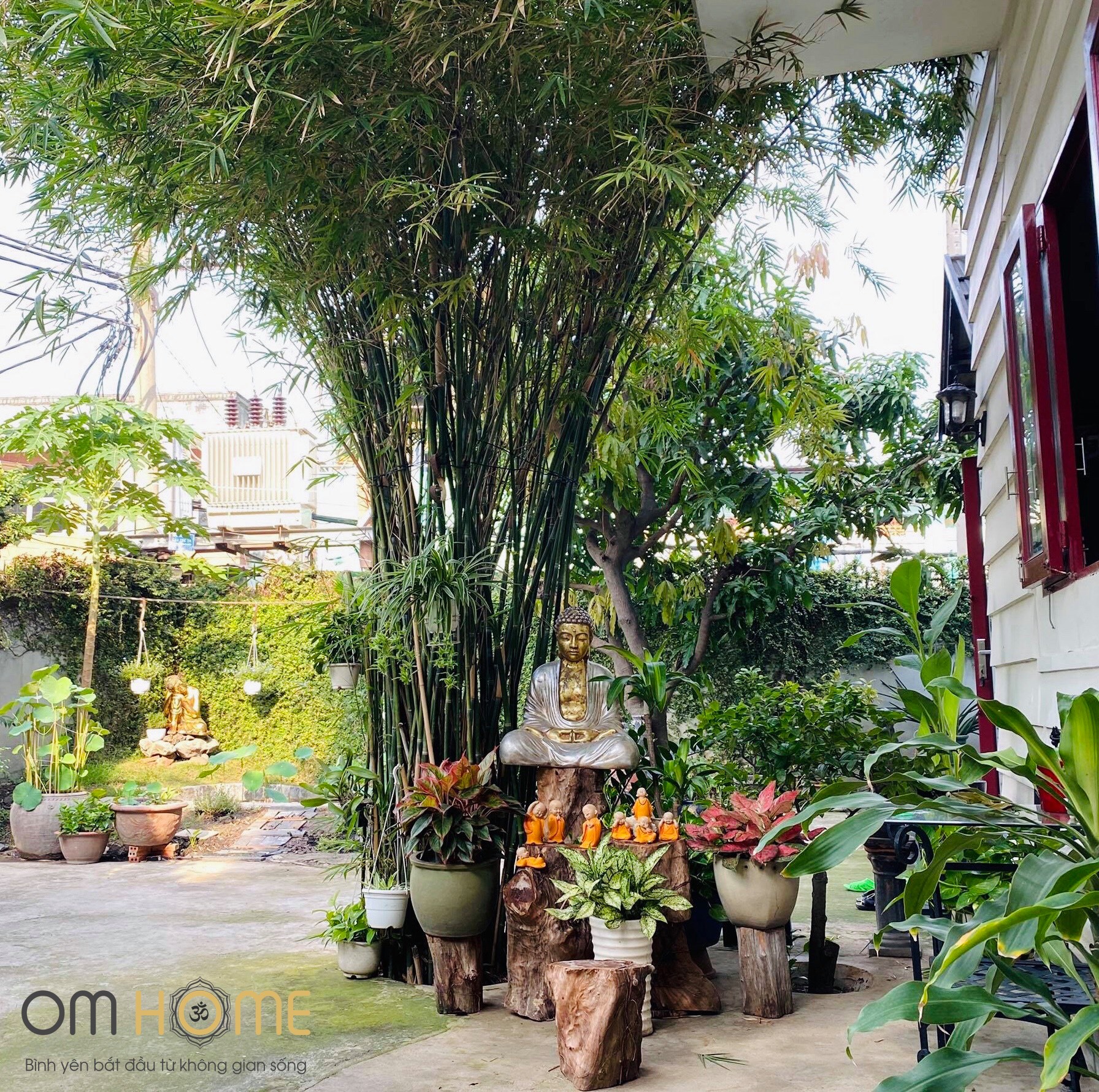 Tượng Phật Thiền Lớn