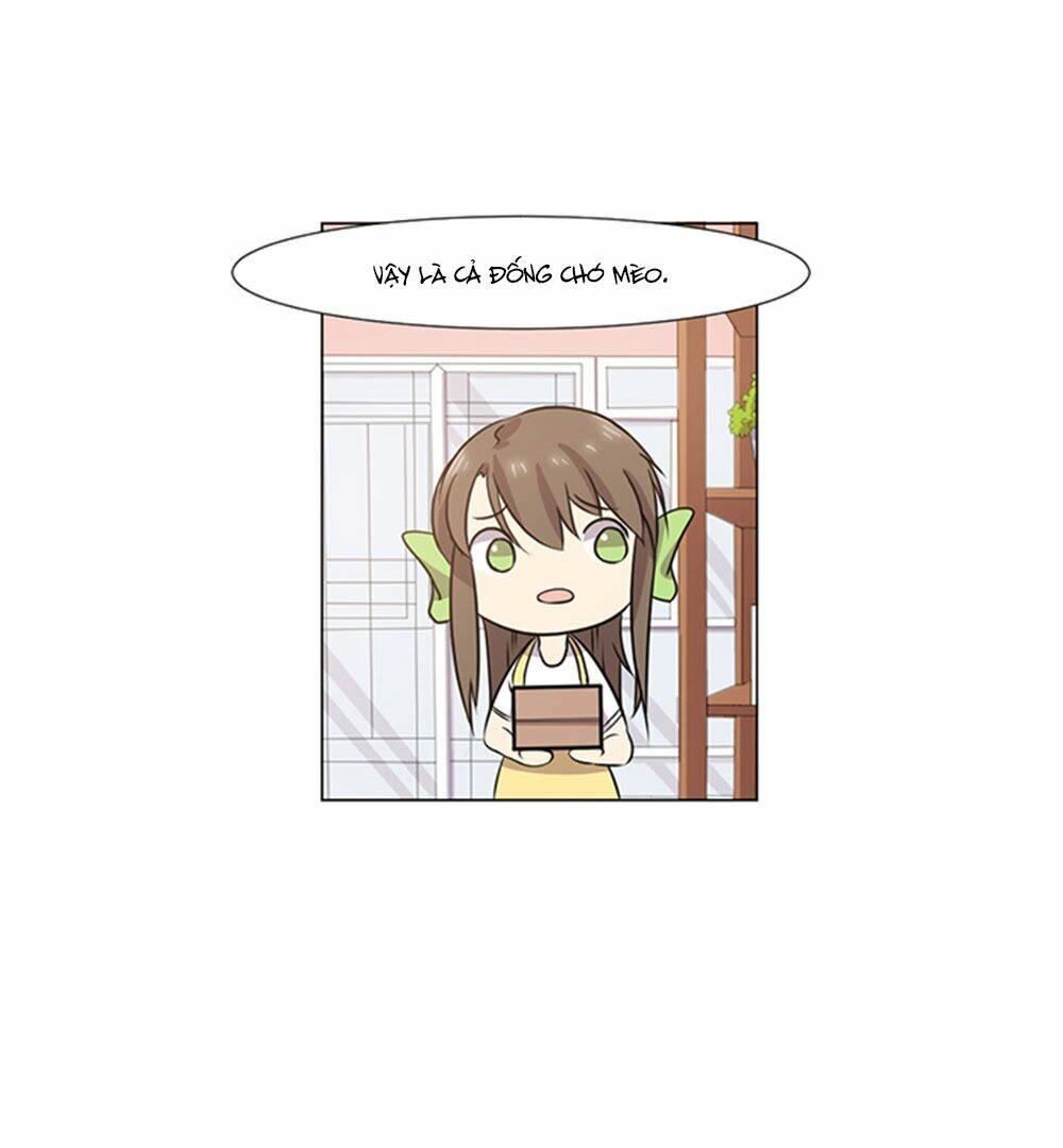 hai chú mèo totem chapter 39 49