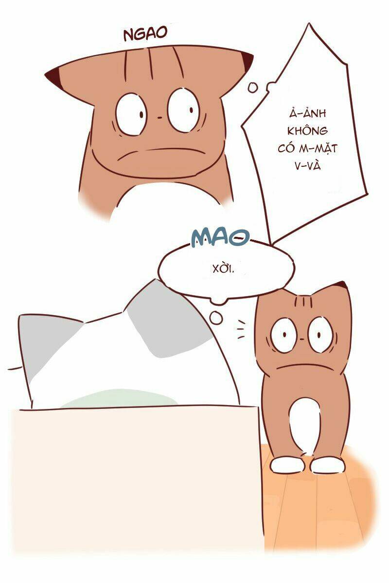 saphie: chú mèo một mắt chapter 29 9