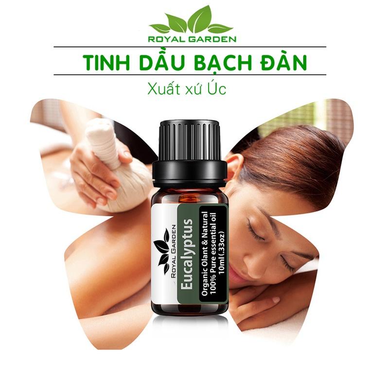 Tinh dầu 10ml / 50ml Bạch Đàn Eucalyptus - Triết xuất thiên nhiên 100% từ Úc