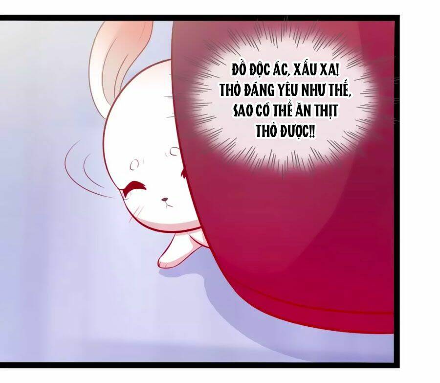 thỏ yêu tiểu vương phi chapter 49 21