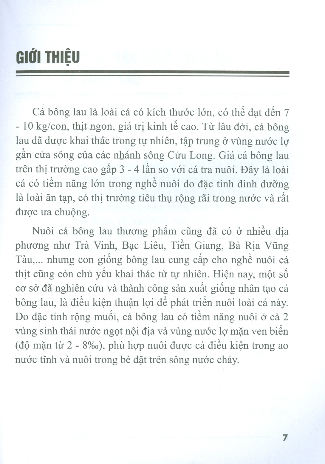 Cách Nuôi Cá Bông Lau