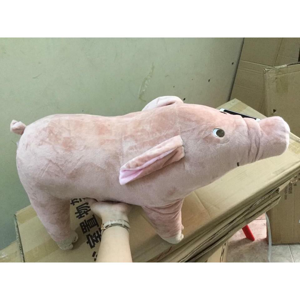 Lợn bông ôm ngộ nghĩnh - size to 75cm