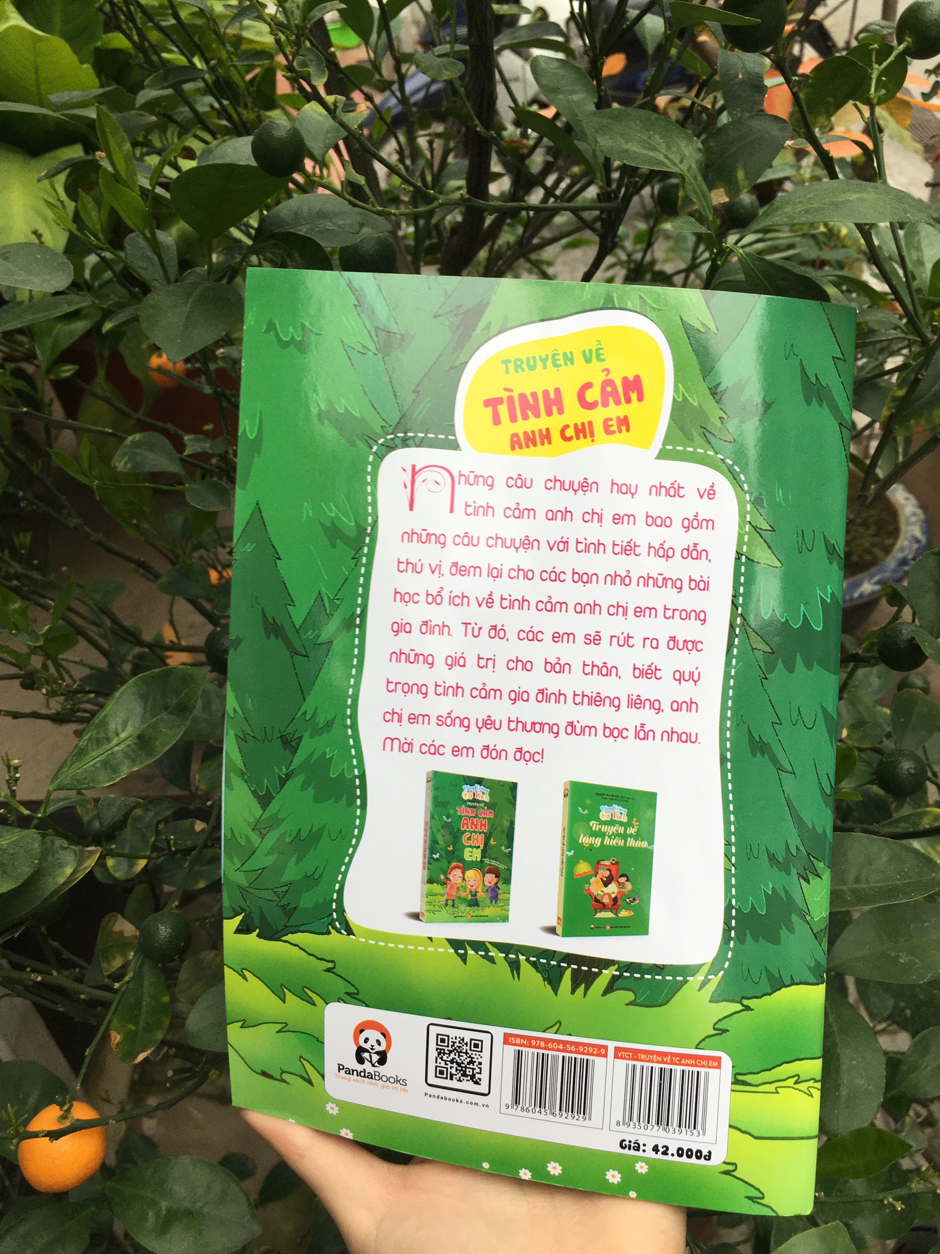 Truyện thiếu nhi Vầng trăng cổ tích - Truyện về Tình cảm Anh chị em