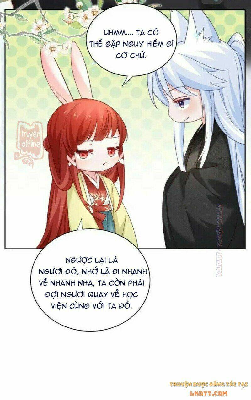 hắc hóa nam chính trực tuyến nuôi thỏ chapter 52 24