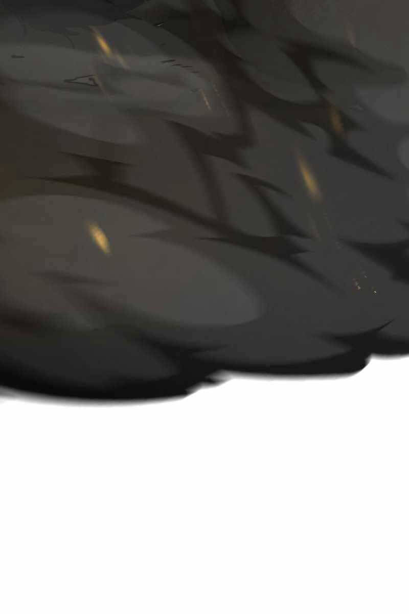 thiên tài của dòng dõi độc nhất vô nhị chapter 41.2 88