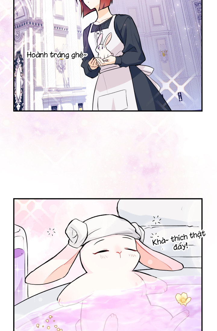 mối liên kết giữa báo đen và bé thỏ chapter 3 45