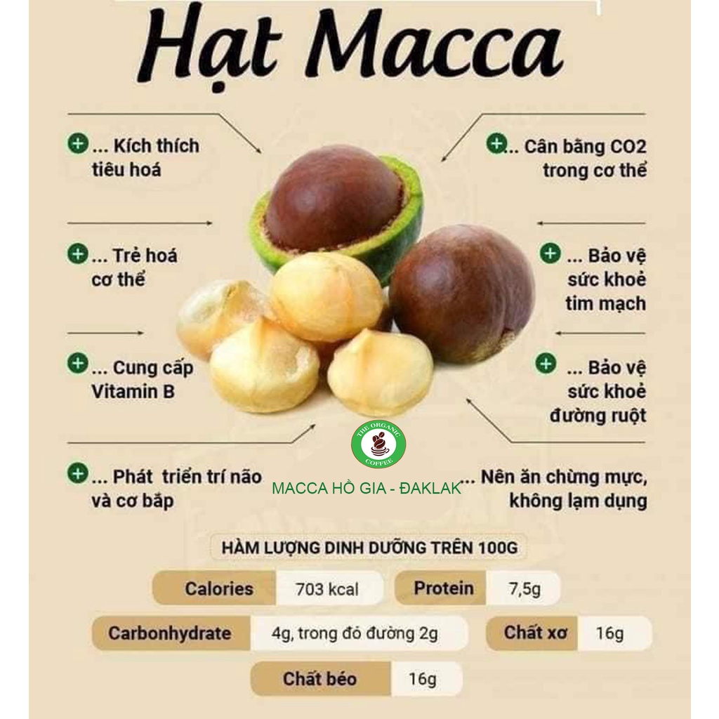 Hạt Macca Sạch Đắk Lắk, Hạt sấy nứt vỏ hạt to, nhân to sấy chín, nhân nhỏ sấy chín, không hôi dầu 500g