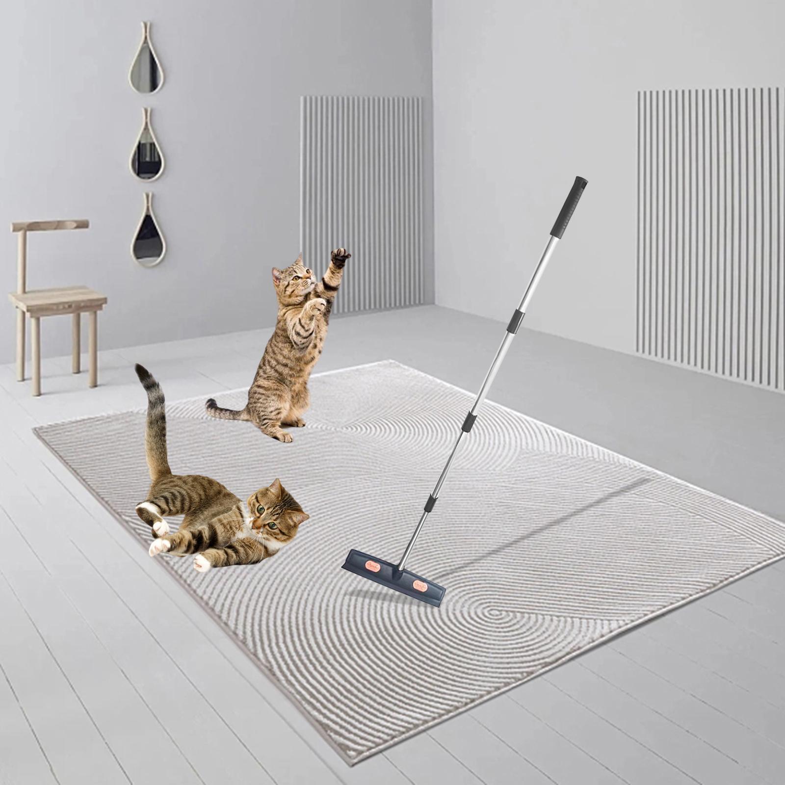 Pet Hair Remover Broom Pet Hair Carpet Rake Hair Cleaning for Hardwood Floor