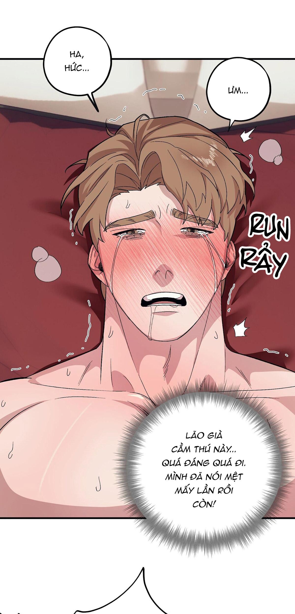 làm dâu nhà tài phiệt họ kang chapter 53 59