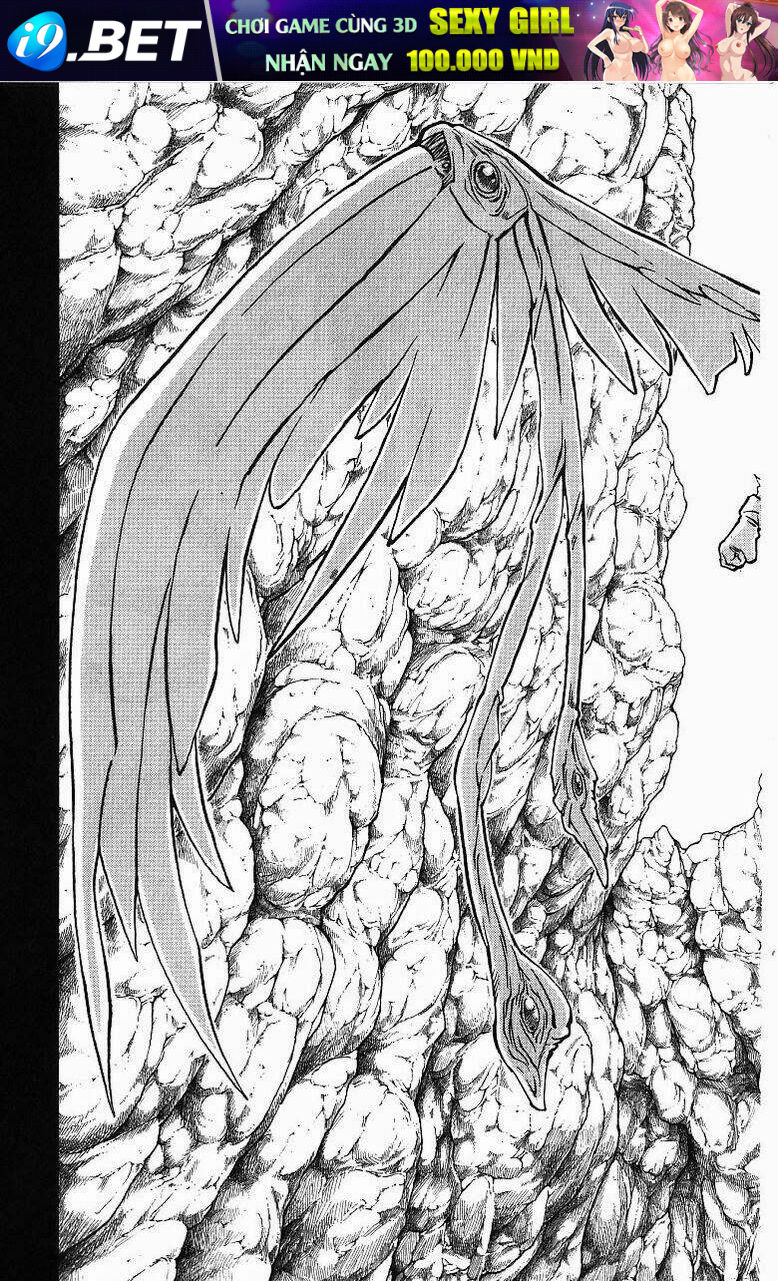 vua trên biển chapter 170 20