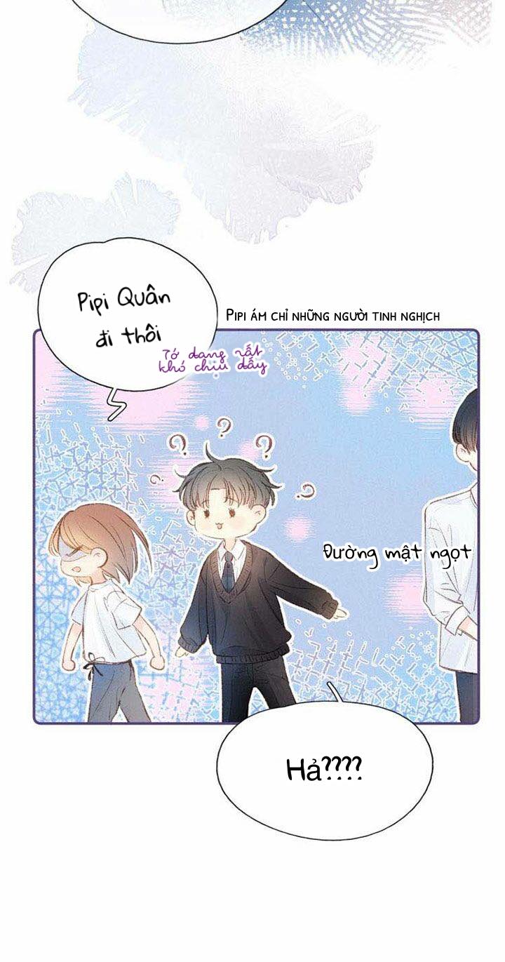 nỗi buồn của hoa cẩm tú cầu chapter 12 14